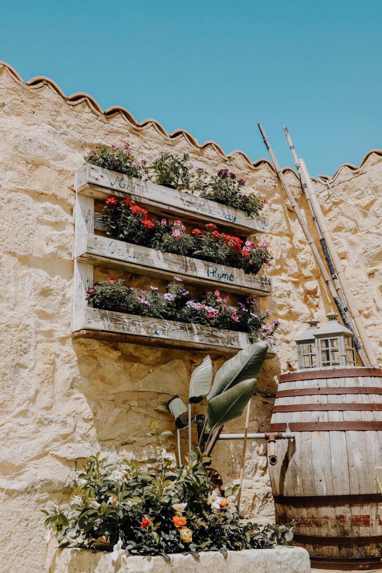 Balcone Mediterraneo - Donnalucata & Marina Di 拉古萨 外观 照片